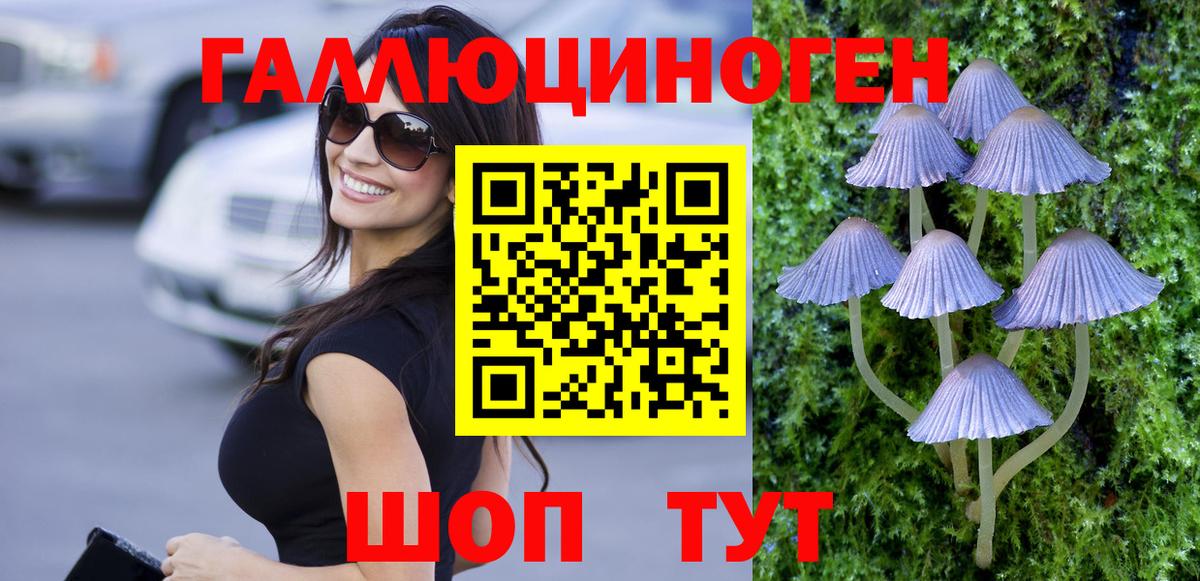 Псилоцибиновые грибы MAGIC MUSHROOMS Кизилюрт