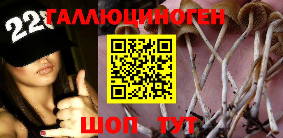 цена наркотик  Вход с VPN  Галлюциногенные грибы прущие грибы  Кизилюрт  Галлюциногенные грибы Magic Shrooms 